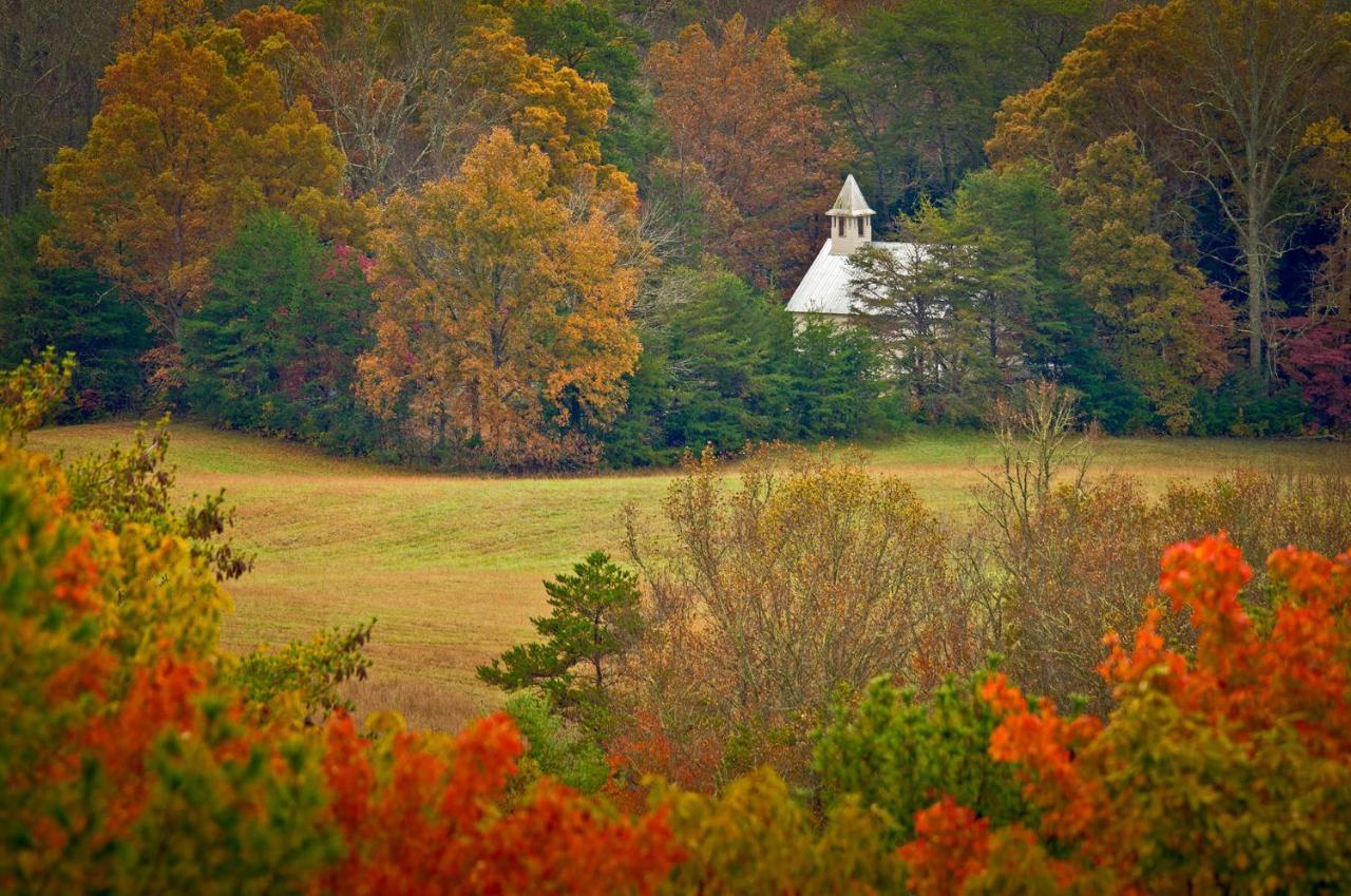 Woodland Escape, 3 Bedrooms, Hot Tub, Pool Access, WiFi, Sleeps 9 Pigeon Forge Buitenkant foto