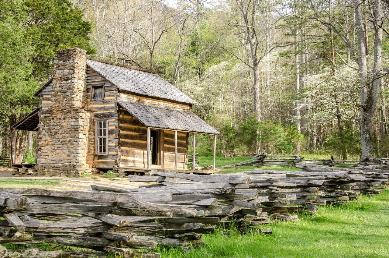 Woodland Escape, 3 Bedrooms, Hot Tub, Pool Access, WiFi, Sleeps 9 Pigeon Forge Buitenkant foto