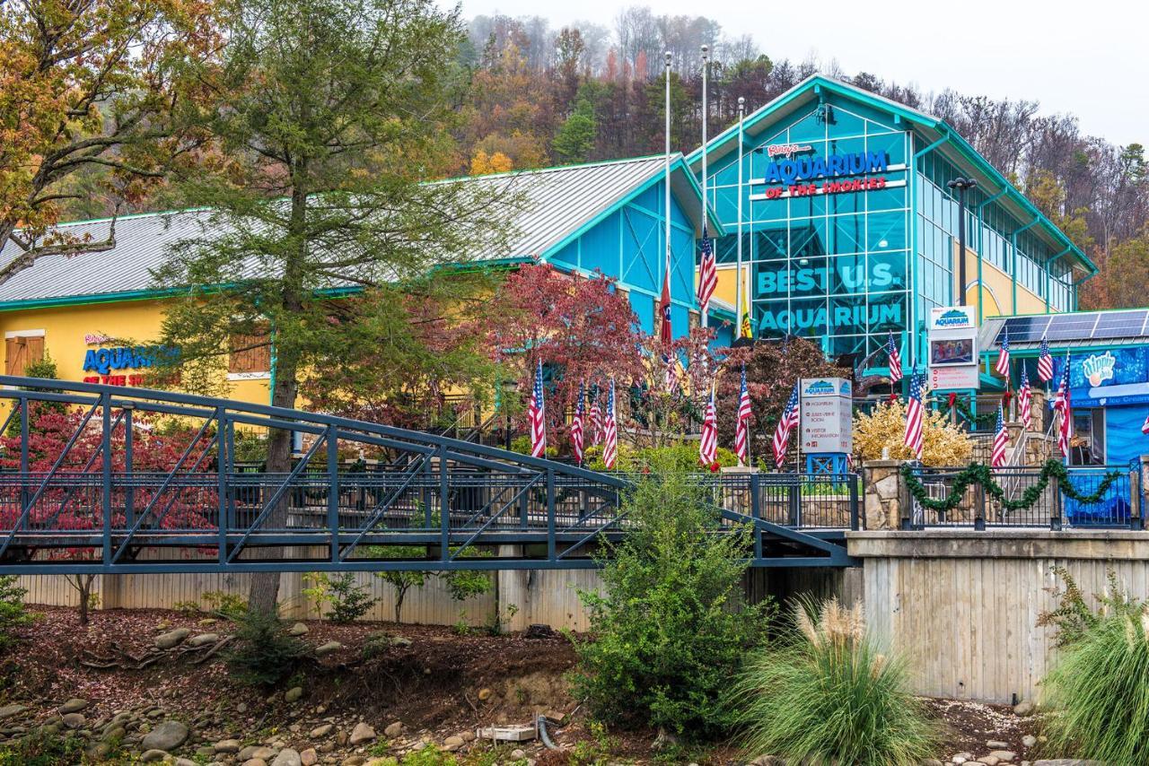 Woodland Escape, 3 Bedrooms, Hot Tub, Pool Access, WiFi, Sleeps 9 Pigeon Forge Buitenkant foto