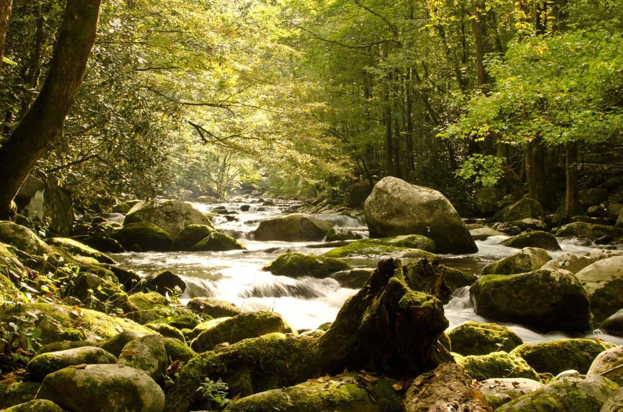 Woodland Escape, 3 Bedrooms, Hot Tub, Pool Access, WiFi, Sleeps 9 Pigeon Forge Buitenkant foto
