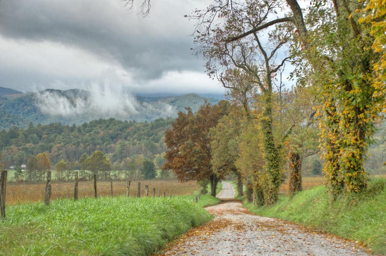 Woodland Escape, 3 Bedrooms, Hot Tub, Pool Access, WiFi, Sleeps 9 Pigeon Forge Buitenkant foto
